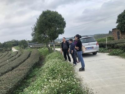科技特派員團隊服務廣東湛江廉江特色富民產業 助力鄉村特色產業高質量發展