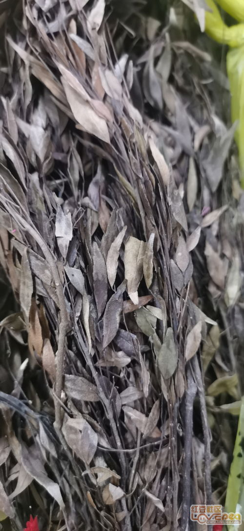 急,大化的這種特產茶叫什么