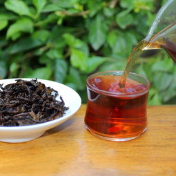 云南大葉種 古樹純料 冰島400g 餅茶 精品普洱熟茶 廠家直銷 包郵