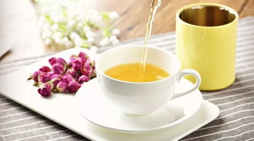 燃爆世界杯,白茶和板凳都準備好啦
