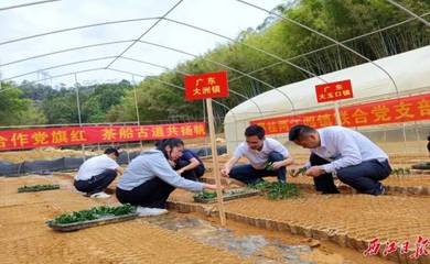 封開縣大洲鎮走出跨省(區)農村基層黨建合作發展新路