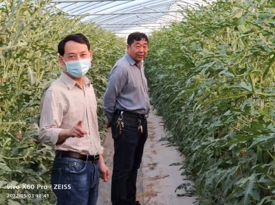 西華縣西夏亭鎮(zhèn):特色農(nóng)業(yè)繪就鄉(xiāng)村振興新圖景