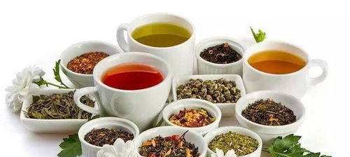 藥茶一種新型養(yǎng)生飲品,美女們都說好喝,茶友更稱贊 茶中之王