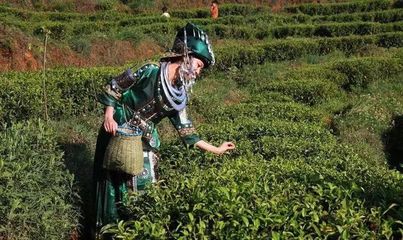 興義 | 大自然歷經2億4000萬年的造物神奇,只在貴州興義!
