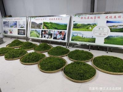 首屆陜西網(wǎng)上茶博會(huì)組織開展“陜茶之星”茶葉評(píng)優(yōu)活動(dòng)