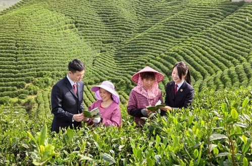 信陽市浉河區檢察院 檢察官茶園普法 檢護民生 解煩憂