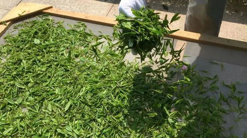 無錫這里入選 江蘇2020年特色農產品優勢區名單來了