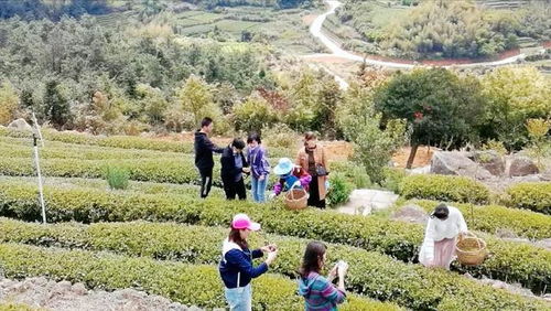 東張古鎮(zhèn)這些文旅網(wǎng)紅打卡點(diǎn),解鎖 五一 出游新玩法