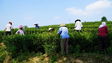 “舊貌”換“新顏”