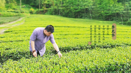 認真做好茶--井牌茶葉李光華40年茶味人生