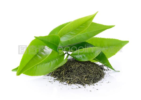 在白色背景下分離的綠茶葉