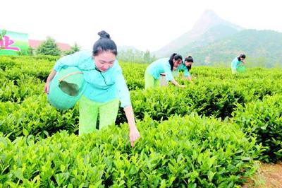2016乳山市十大旅游名產及單項獎獲獎名單