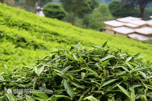 中國茶文化