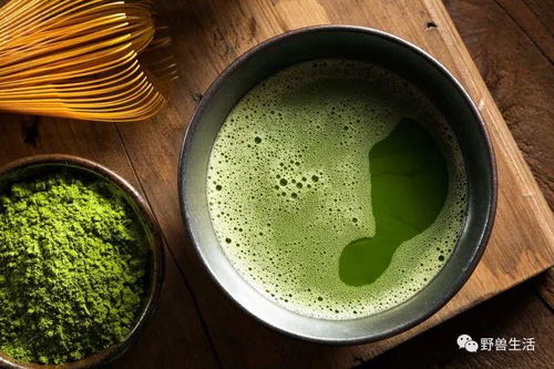 防彈抹茶,讓你一口喝到來自春天的新鮮 新品預(yù)告
