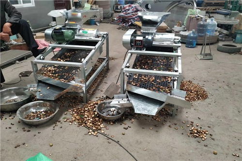 昌黎茶籽去皮機價格是多少