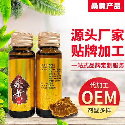 桑黃飲品貼牌代加工 長(zhǎng)白山人工種植桑黃OEM生產(chǎn)廠家