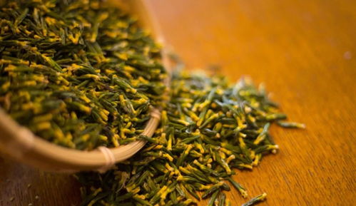 榨糖 采蓮 趕鴨子,這座莊園讓我見(jiàn)到了生活最美好的樣子
