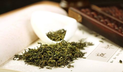 日照綠茶 北方之嘉木也,喝了這么多年茶,你竟然不知道