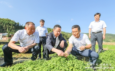 縣委書記楊軍到洛河鎮(zhèn)廣佛鎮(zhèn)調研