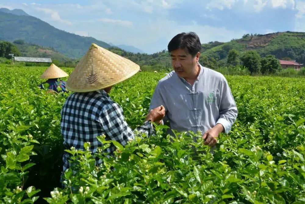 “3820”戰(zhàn)略工程30年30人丨傅天龍:讓中國茶文化走向世界的新農(nóng)人