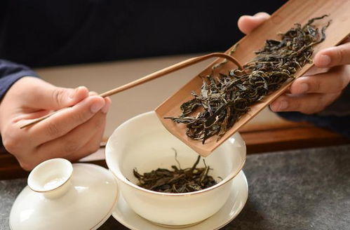 收藏普洱白茶黑茶時,這3種茶最好別存,有些茶,藏100年也是垃圾
