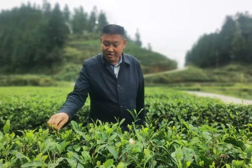 餐桌上的烏羅 致富能人座談會