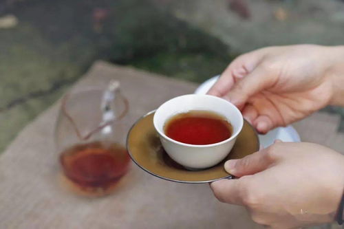 茶,一種令人身心愉悅的苦