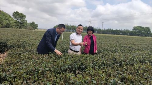 鄉(xiāng)村振興丨莫誤農時 建行實招助春耕 下