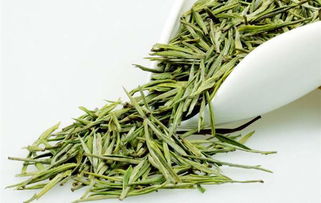 陳財教你如何儲存茶葉