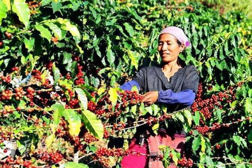 雀巢到底靠什么飛黃騰達150年 smei top榜深度追蹤