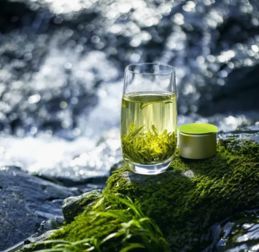 中國茶品牌的出路在哪里 小罐茶給出了答案