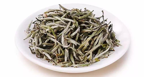 陸桐說茶 茶文化之一次看懂的六大茶類詳解