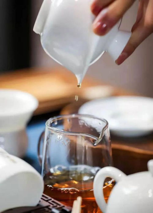 與普洱齊名,為川茶原生種,鮮為人知的南川茶,究竟有多厲害