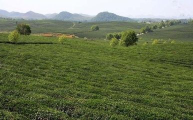 貴州省首個國家地理標志產品保護示范區獲批成立!系貴州首個!